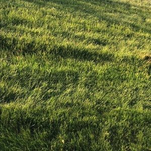 Meet your Posher, Jenelle